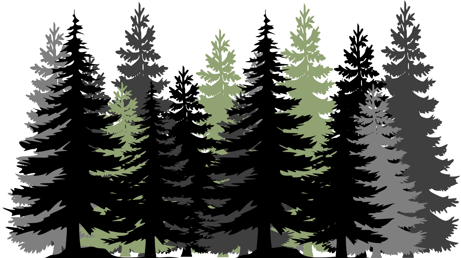 Granite Falls Homeowners Association